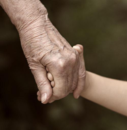 succession succession