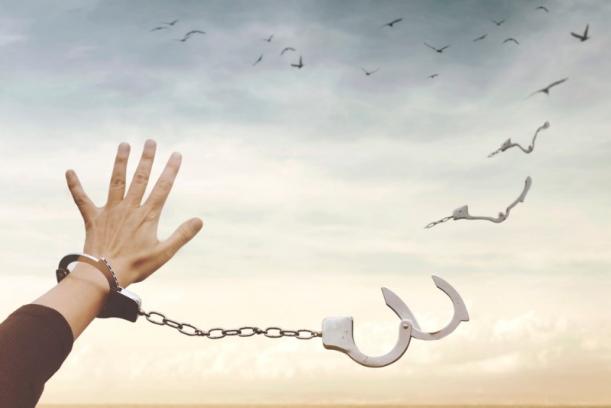 Avocat infraction pénale